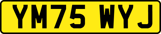 YM75WYJ