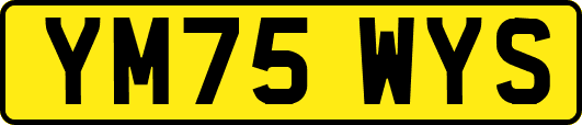 YM75WYS
