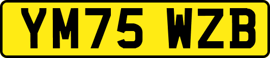 YM75WZB