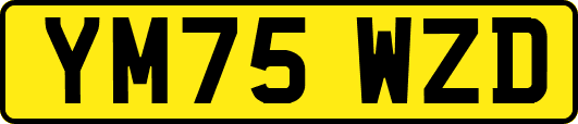 YM75WZD