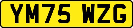 YM75WZG