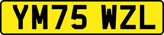 YM75WZL