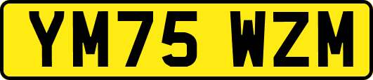 YM75WZM