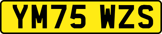 YM75WZS