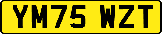YM75WZT