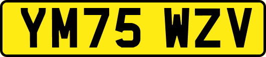 YM75WZV