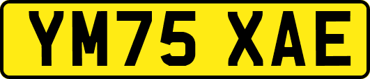 YM75XAE