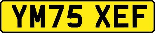 YM75XEF