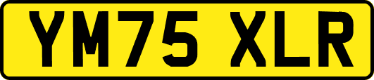 YM75XLR