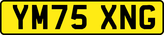 YM75XNG