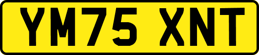 YM75XNT