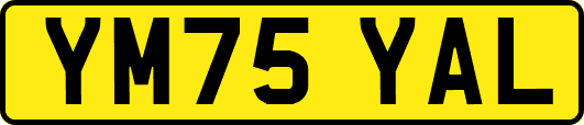 YM75YAL