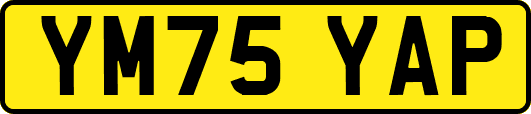 YM75YAP