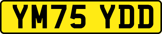 YM75YDD