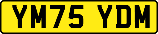 YM75YDM