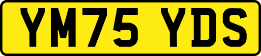 YM75YDS