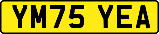 YM75YEA