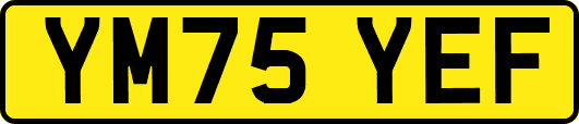 YM75YEF