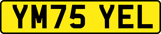 YM75YEL