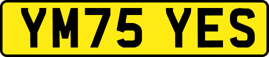 YM75YES