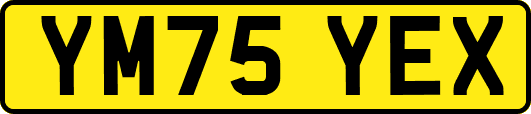 YM75YEX