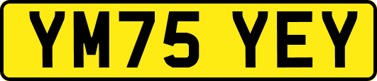 YM75YEY