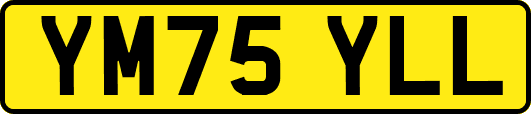 YM75YLL