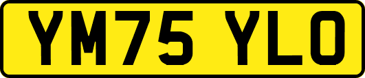 YM75YLO