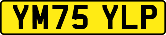 YM75YLP