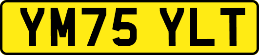 YM75YLT