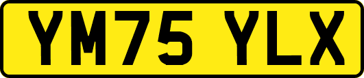 YM75YLX