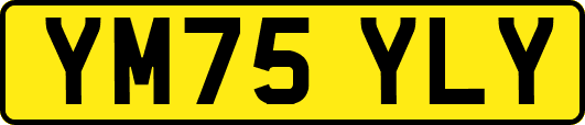YM75YLY