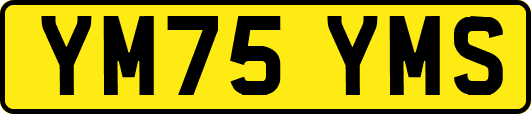 YM75YMS