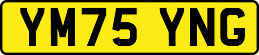 YM75YNG