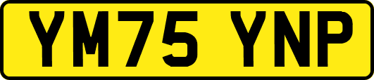 YM75YNP