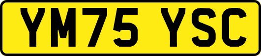 YM75YSC