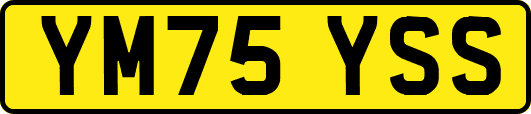 YM75YSS
