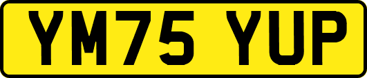 YM75YUP