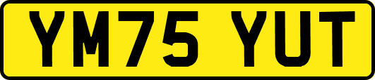 YM75YUT