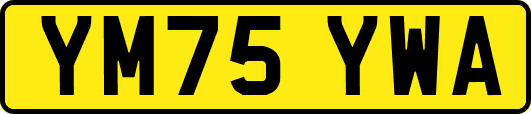 YM75YWA