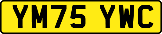 YM75YWC