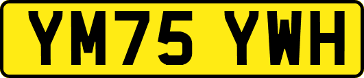 YM75YWH