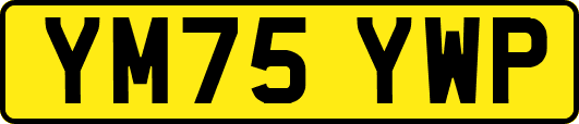 YM75YWP