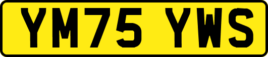 YM75YWS