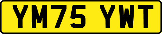 YM75YWT