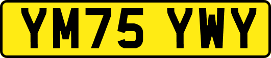 YM75YWY