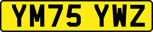 YM75YWZ