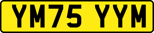 YM75YYM