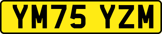 YM75YZM