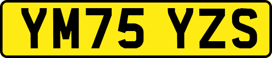 YM75YZS